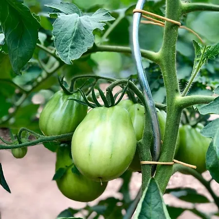 Sicher Agroturismo *